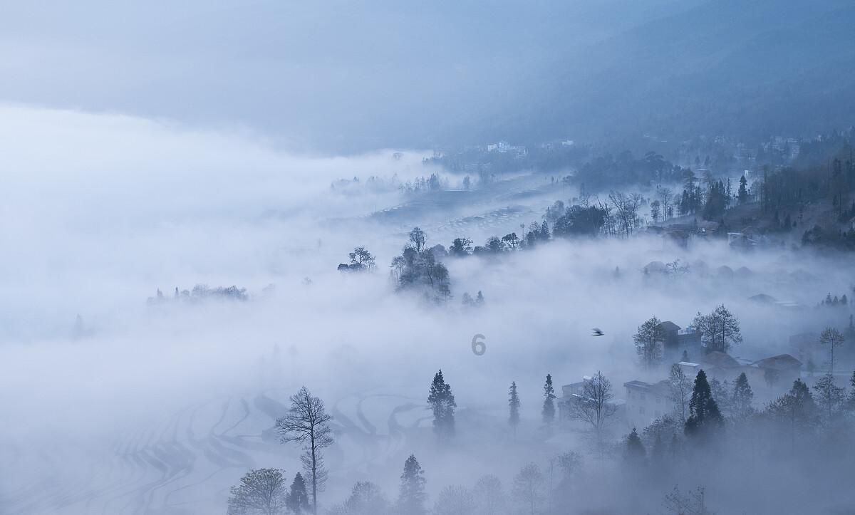 逃离宝藏岛屿
