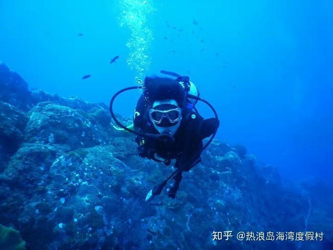 易车发布多份榜单,揭晓2023年度“易车号百强自媒体”