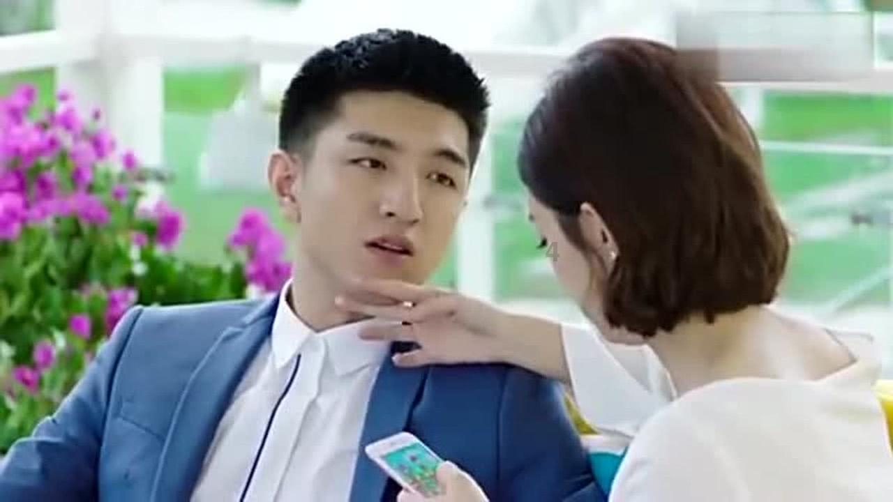 拯救精灵的土地8