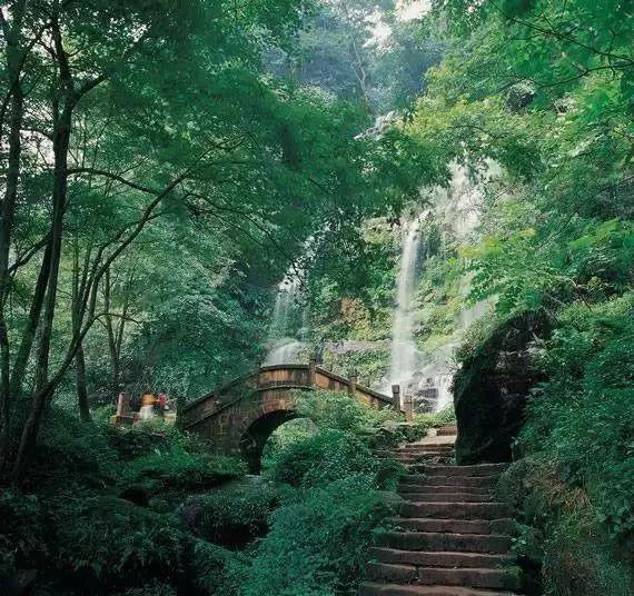 沙漠前行