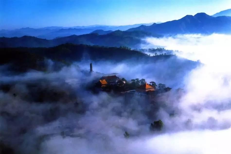 大难临头各自飞？主人撞车，狗子直接跑路：找了九小时，最后在一口井里发现